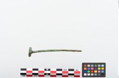 Foto von Bronzenagelkopfnadel (NHMW-PRAE-024234)